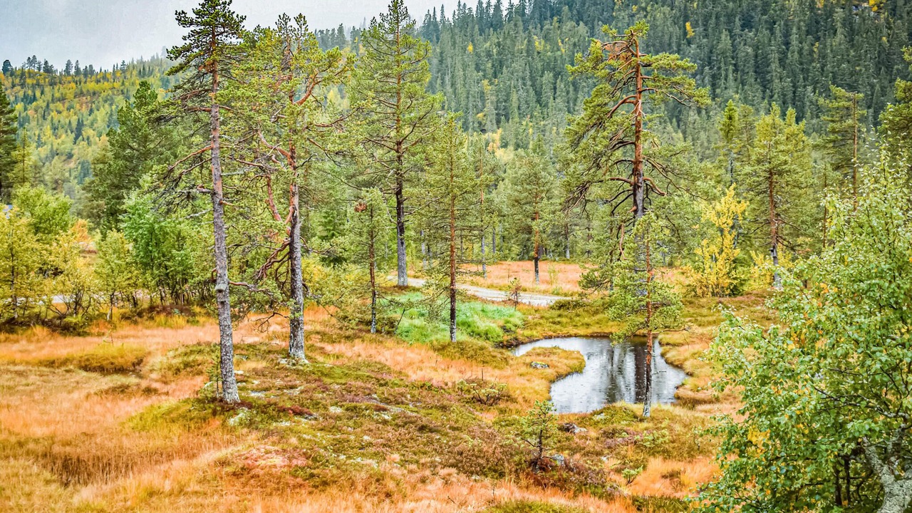 Photo of Others in Sigdal Municipality