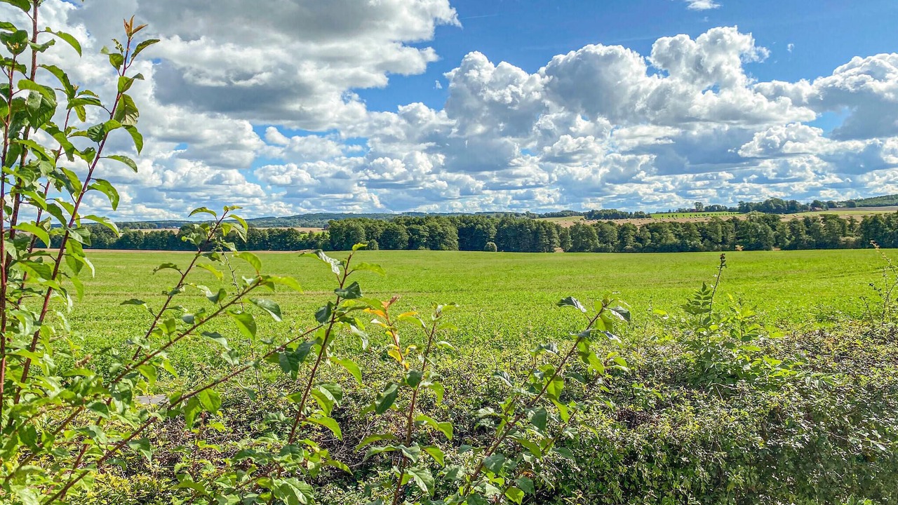 Photo of Others in Laholm