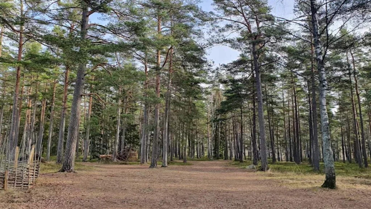 Photo of Others in Skalsmara
