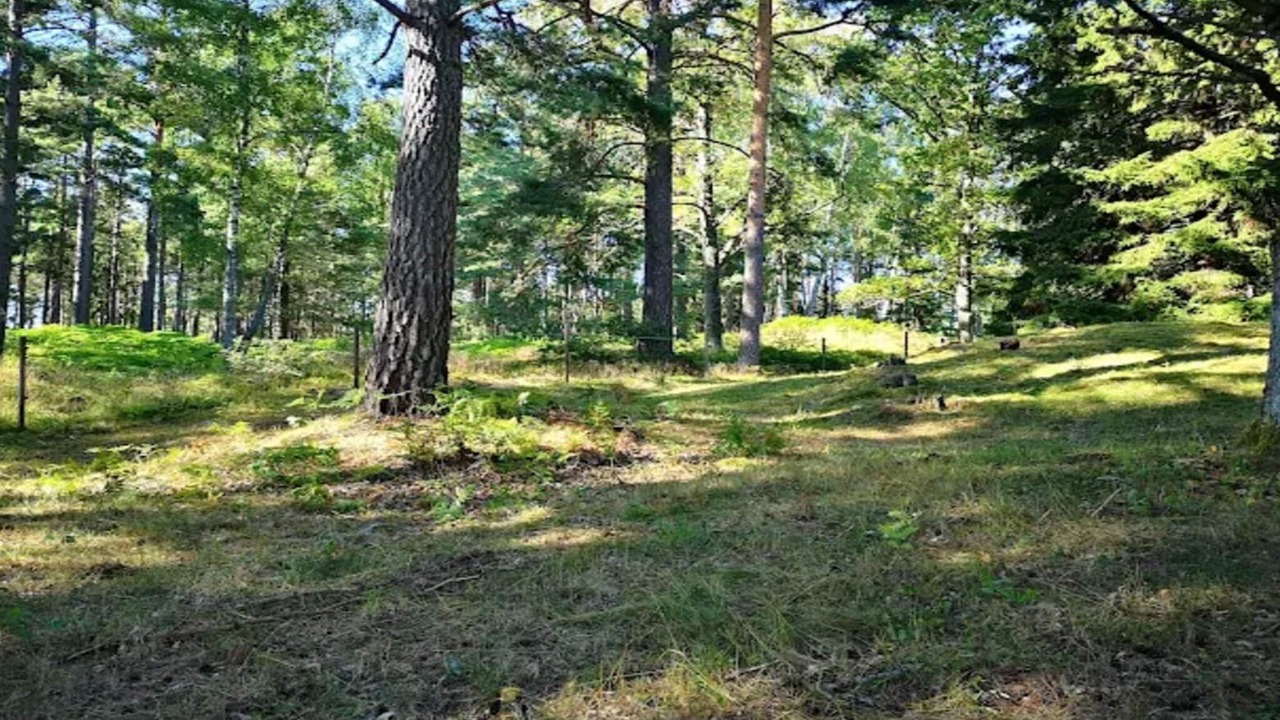Photo of Others in Skalsmara