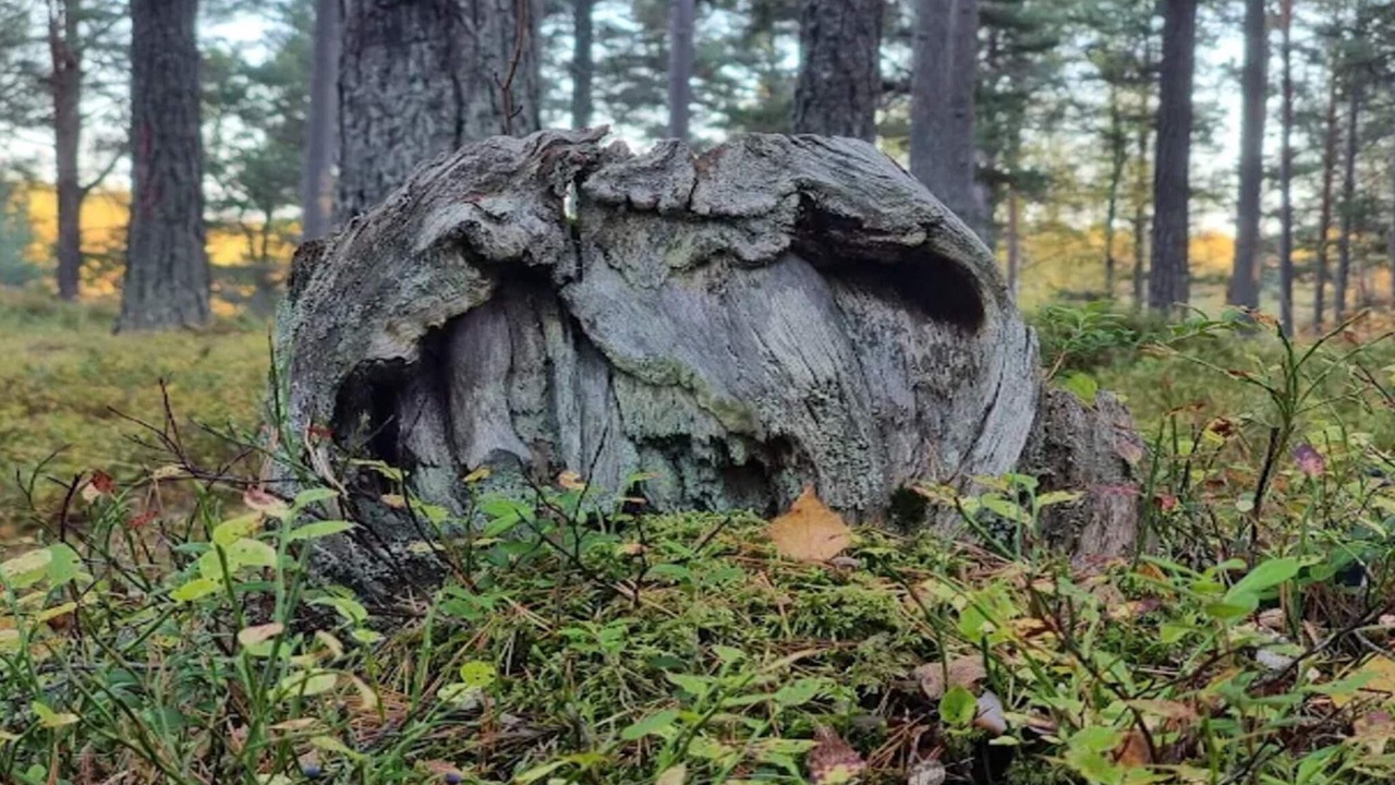 Photo of Outdoor in Skalsmara