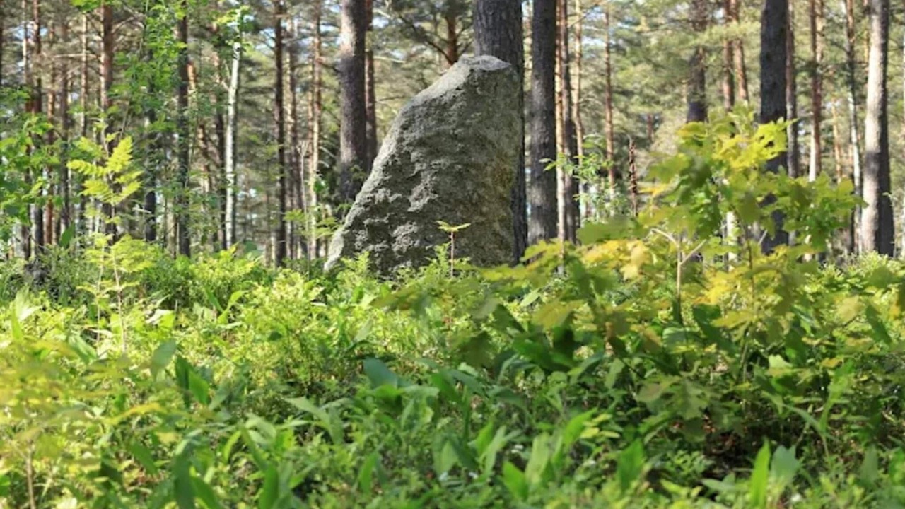 Photo of Others in Skalsmara
