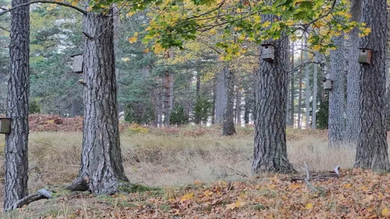 Photo of Others in Skalsmara