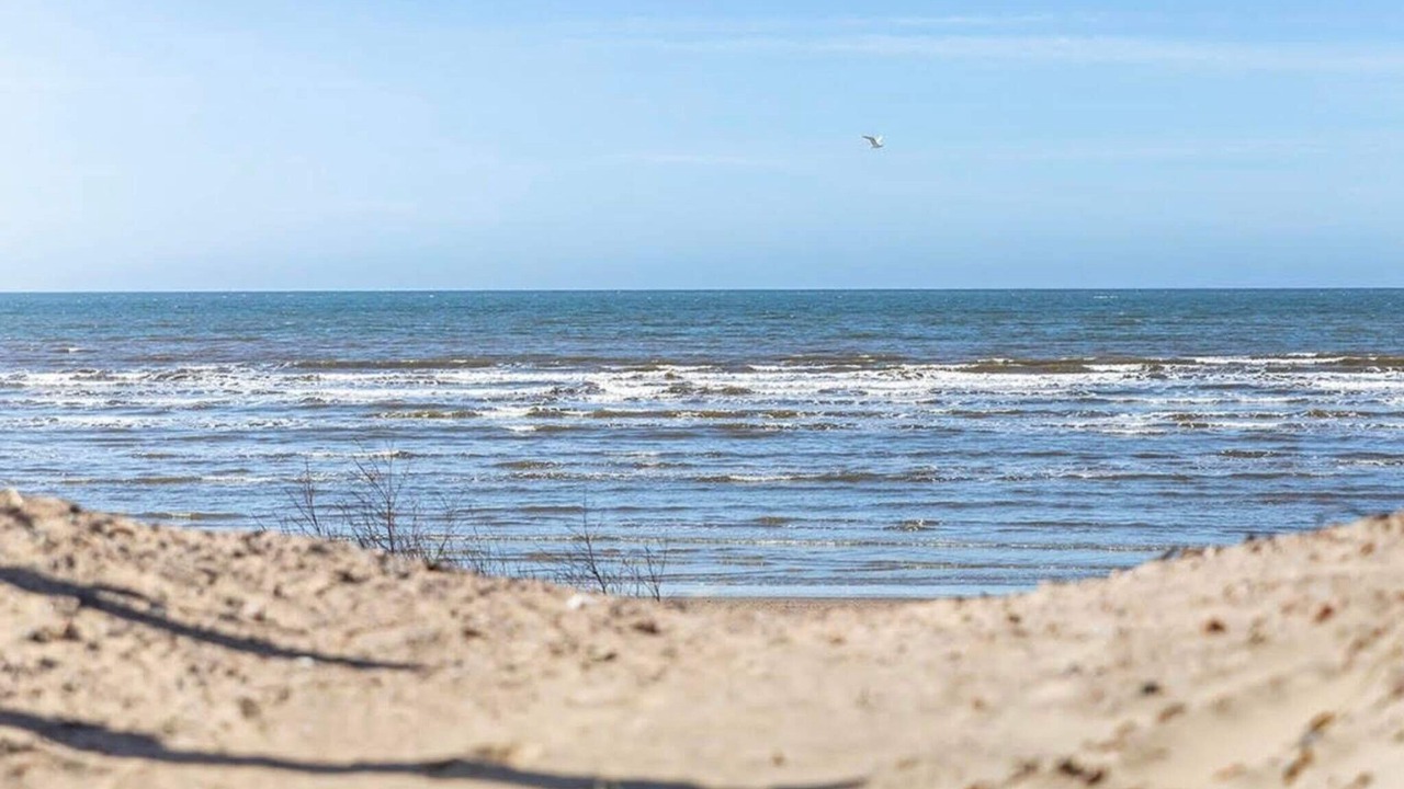 Photo of Others in Halmstad