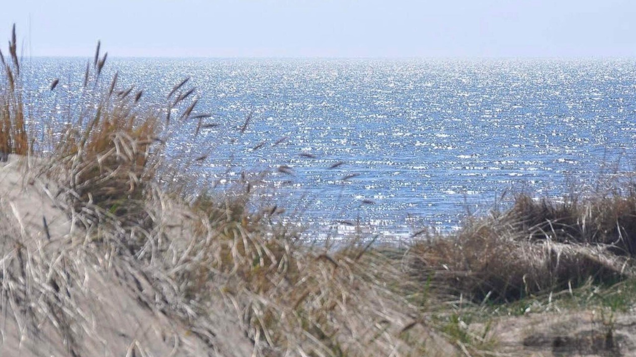 Photo of Others in Halmstad
