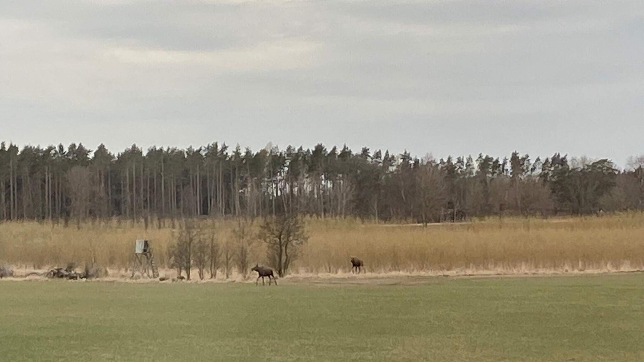 Photo of Others in Grastorp