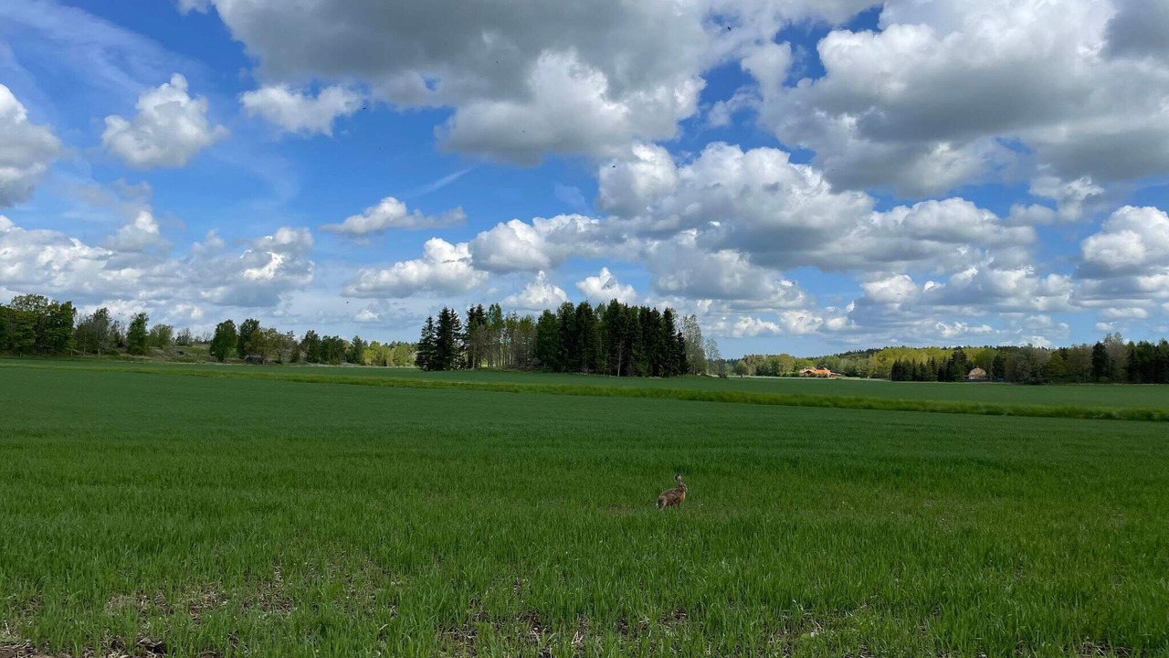 Photo of Others in Grastorp