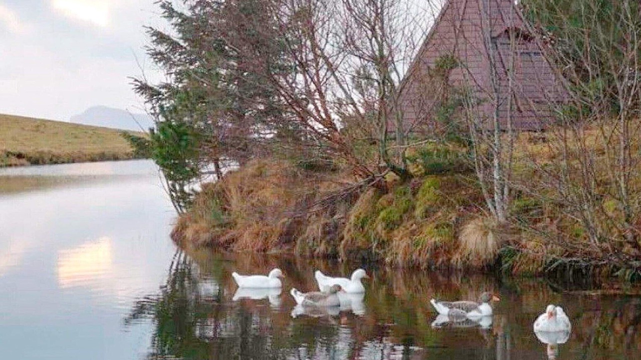 Photo of Others in Tansøy