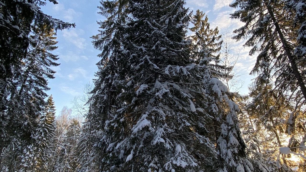 Photo of Others in Sodertalje Municipality