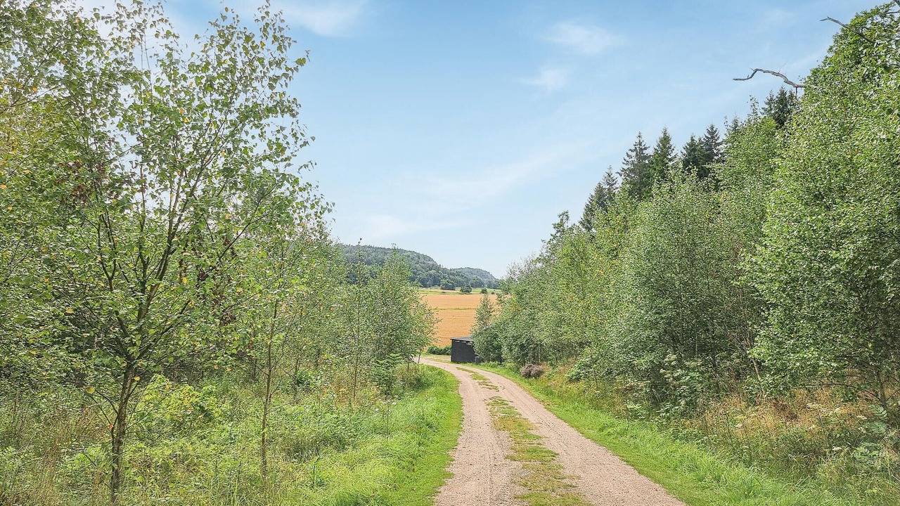 Photo of Others in Brastad