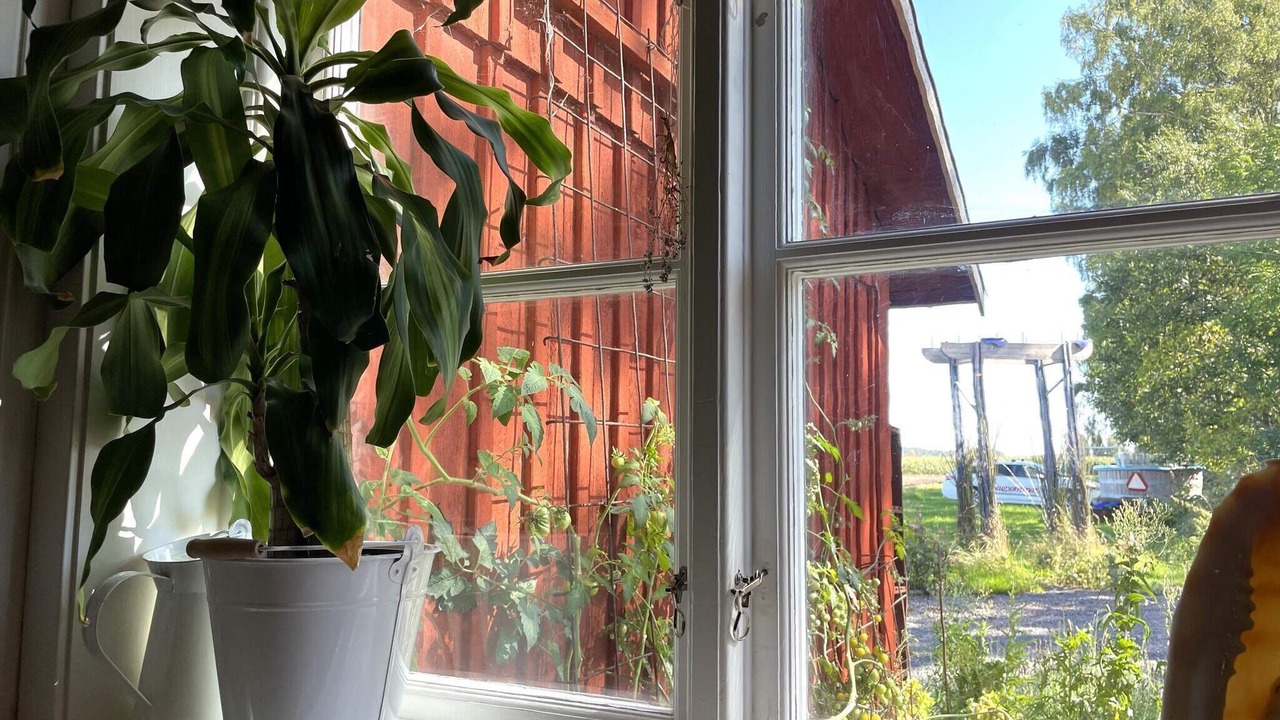 Photo of Others in Lidkoping