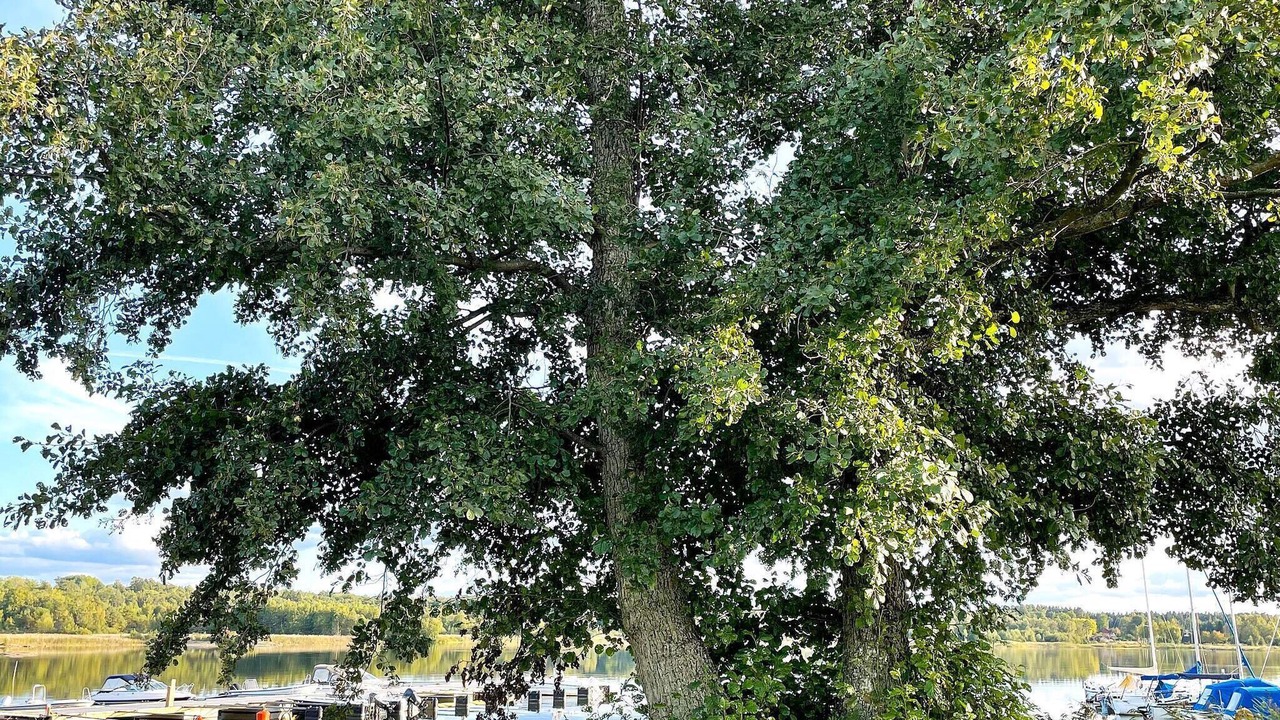 Photo of Others in Lidkoping