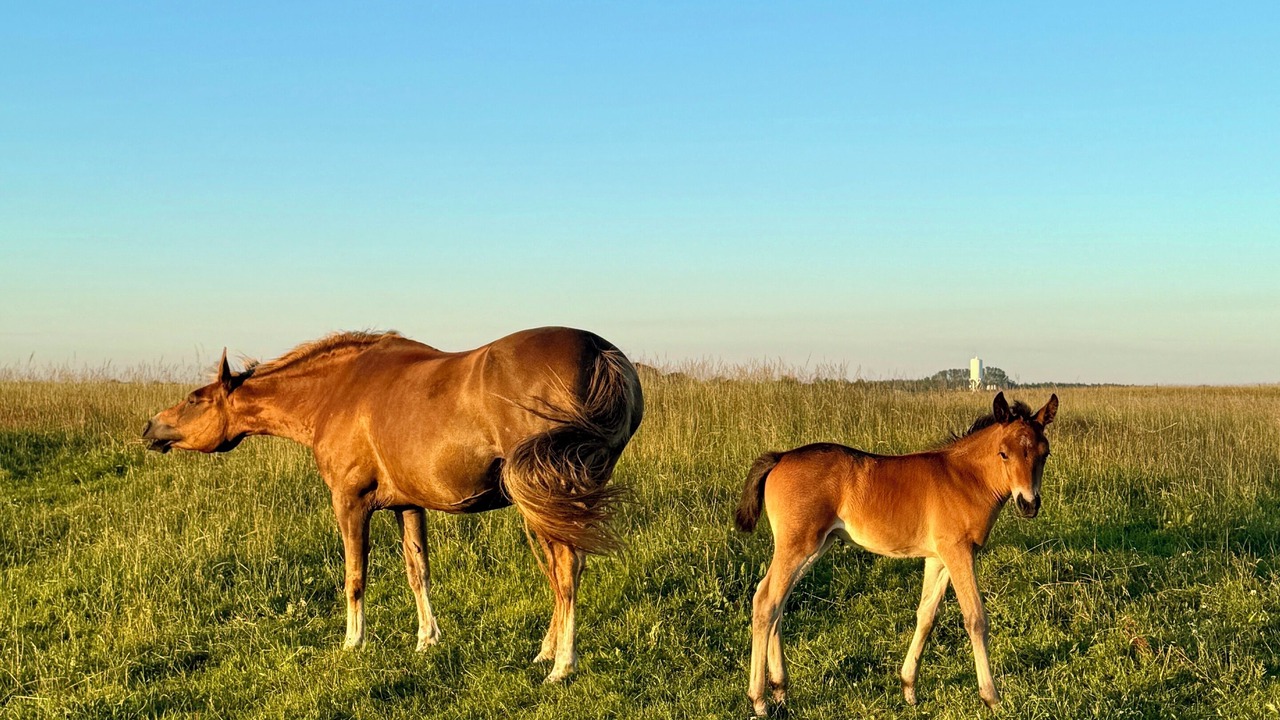 Photo of Outdoor in Kaseberga