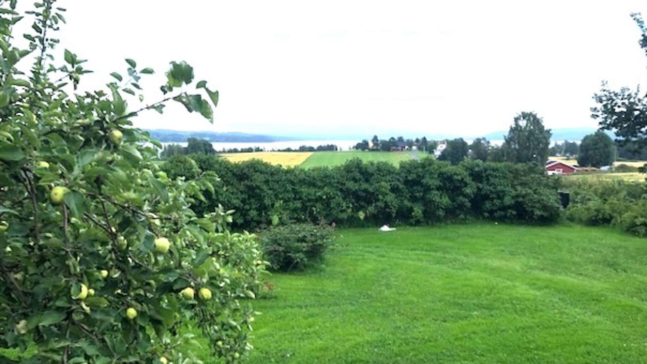 Photo of Outdoor in Krokom