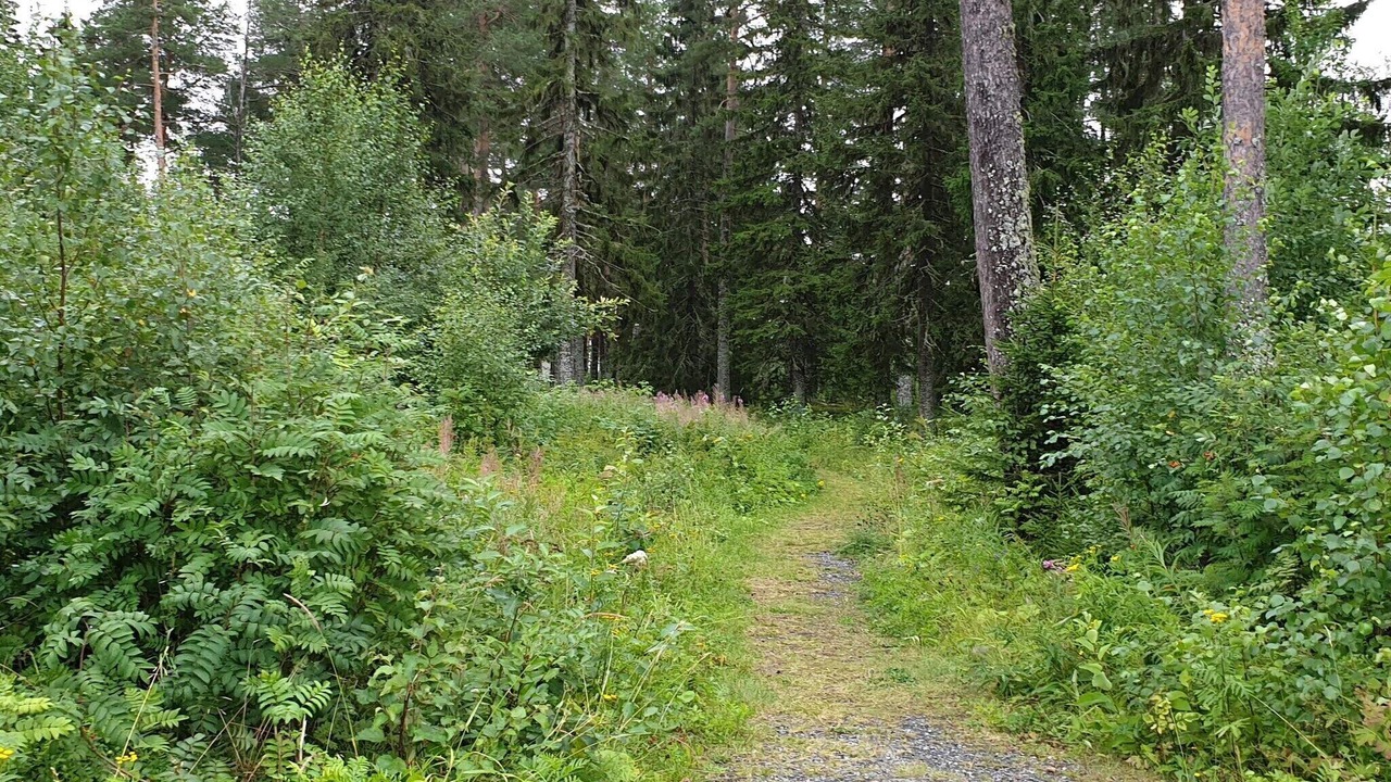 Photo of Outdoor in Krokom