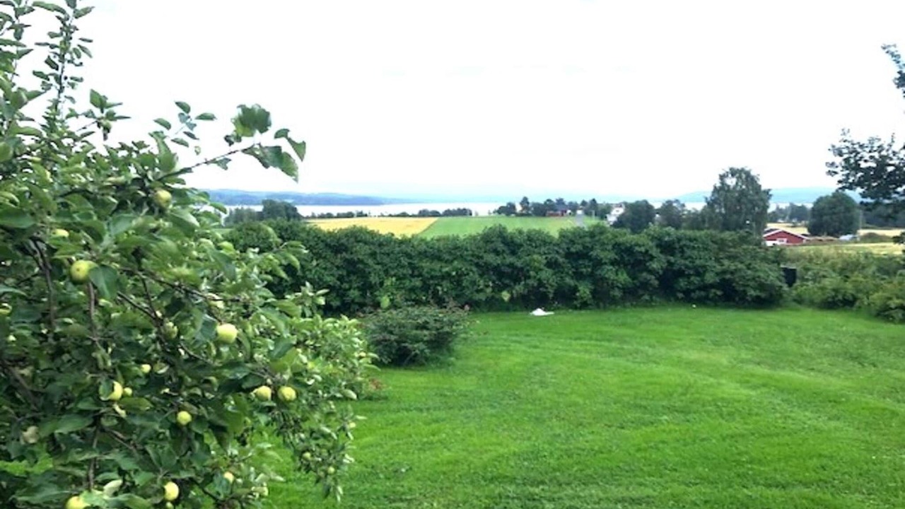 Photo of Outdoor in Krokom