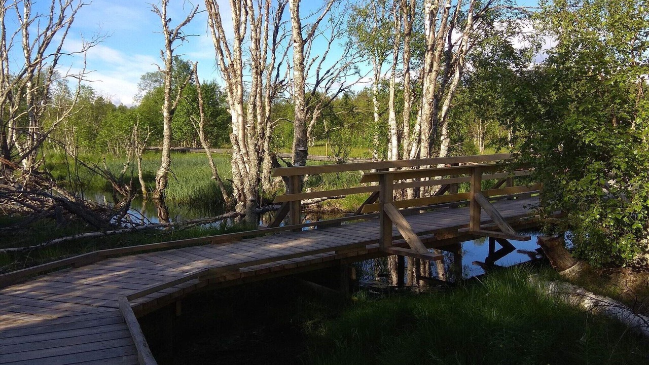 Photo of Others in Krokom