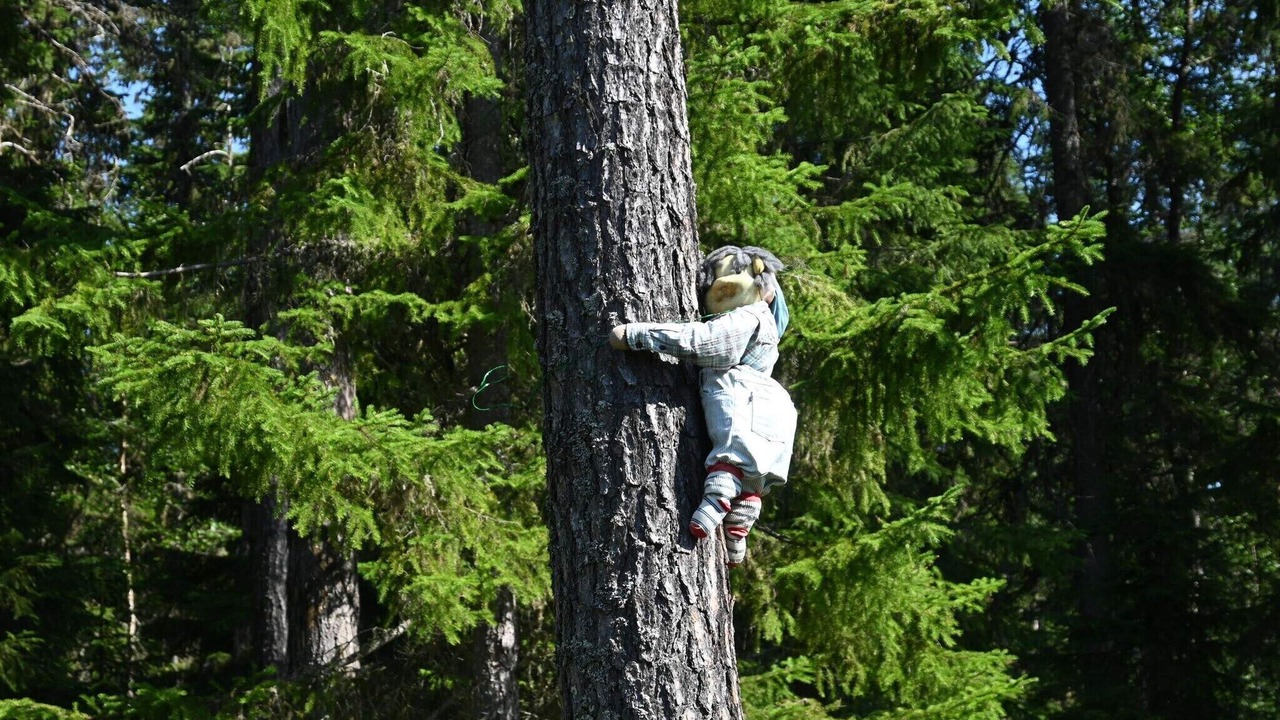 Photo of Others in Krokom