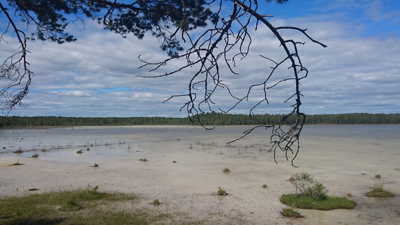 Photo of Others in Krokom