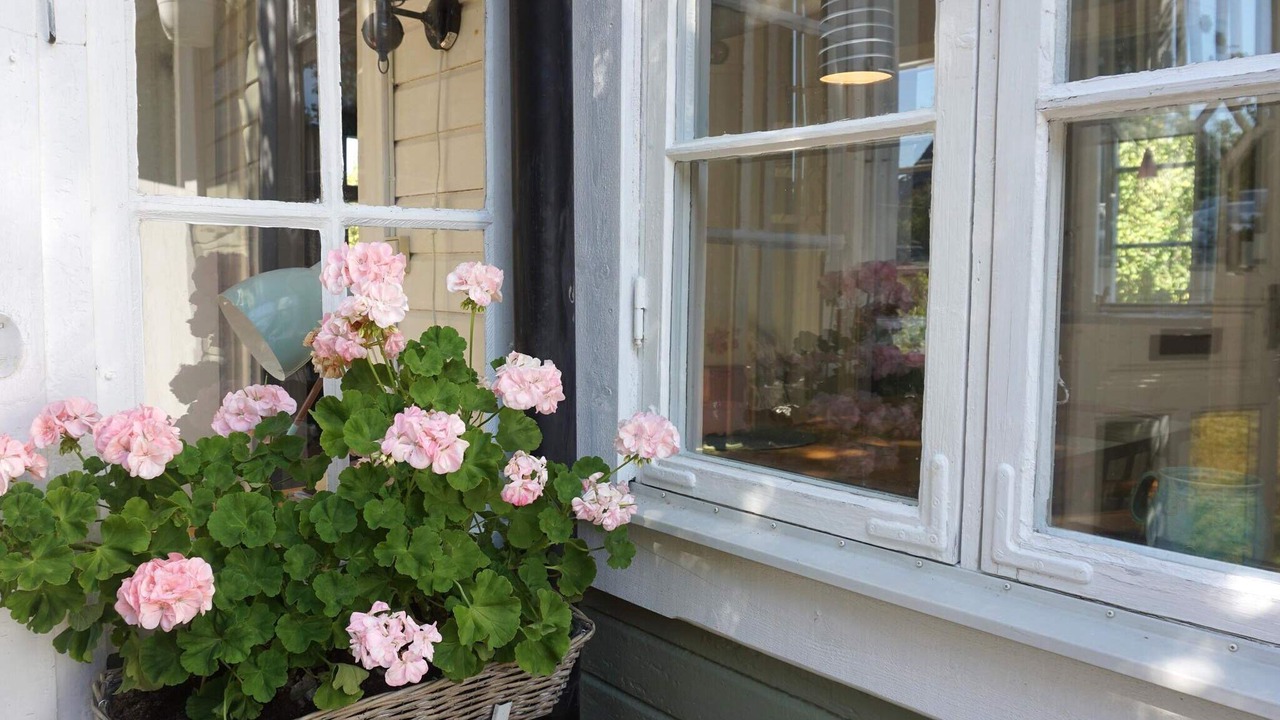 Photo of Outdoor in Ronneby