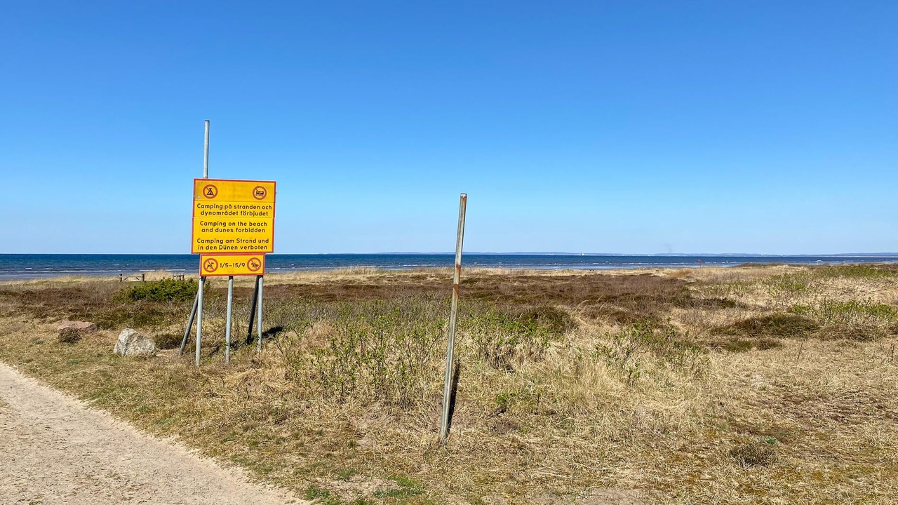 Photo of Others in Skummesloevsstrand