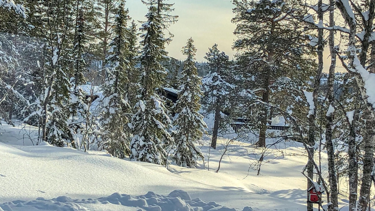 Photo of Others in Kroderen