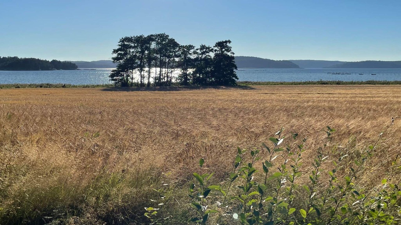 Photo of Others in Uddevalla