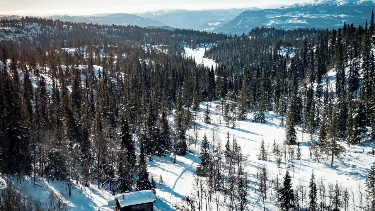 Photo of Outdoor in Amot