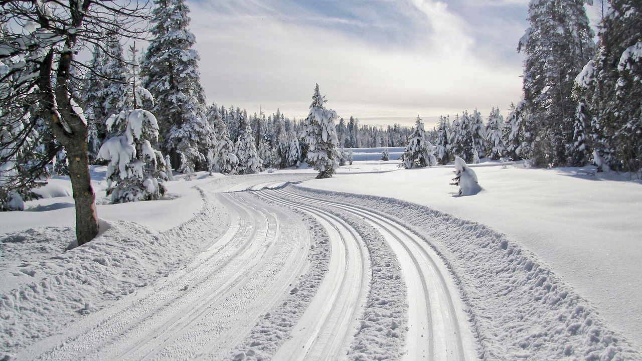 Photo of Outdoor in Amot