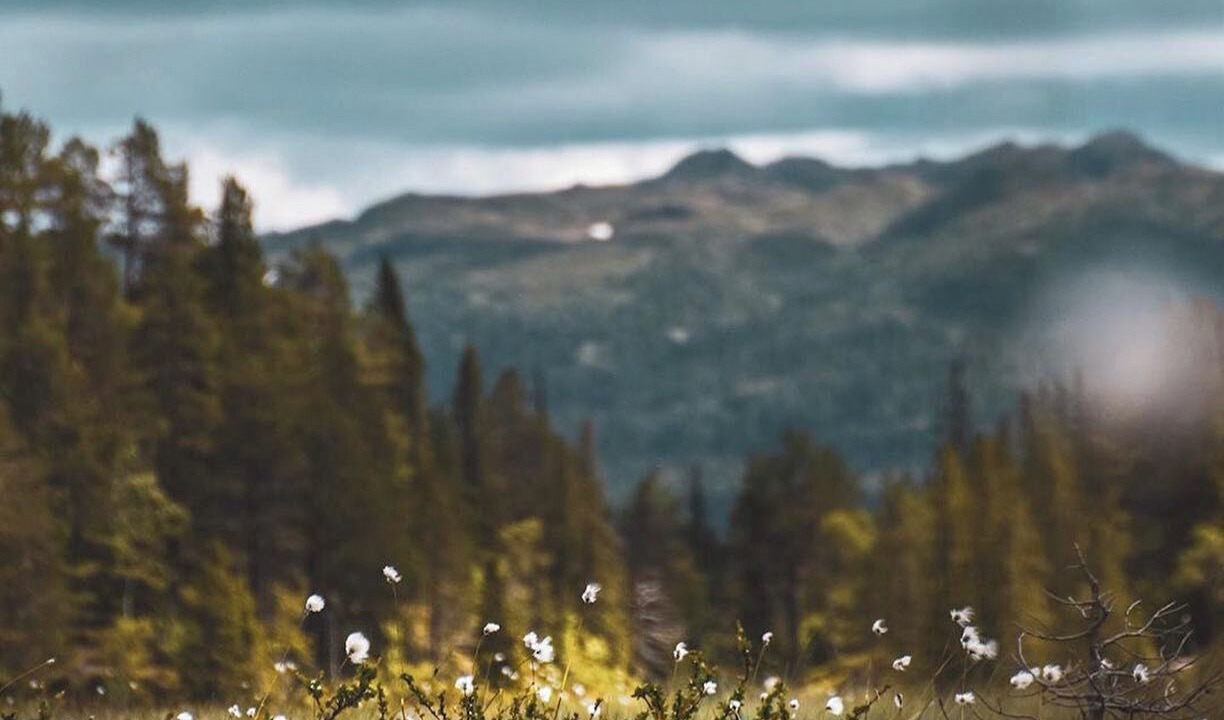 Photo of Outdoor in Amot