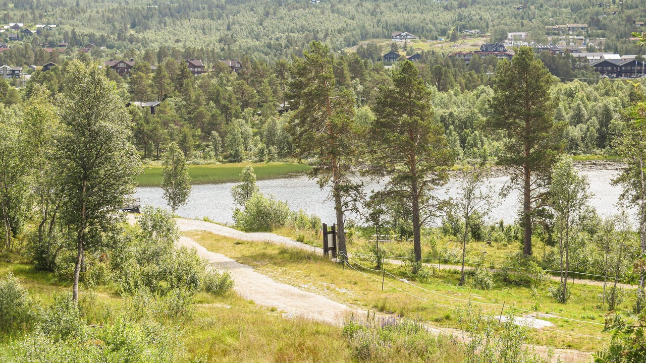 Photo of Others in Geilo