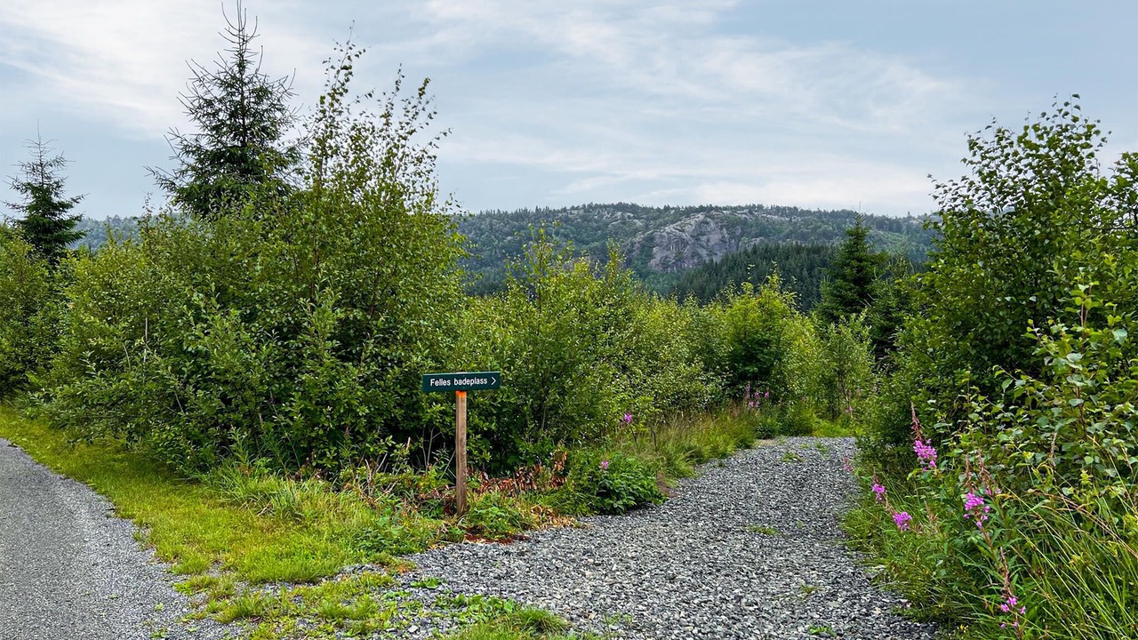 Photo of Others in Lyngdal