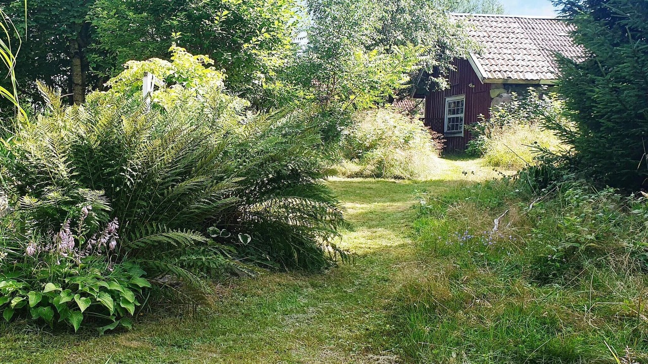 Photo of Outdoor in Ronninge