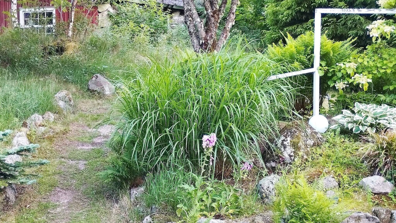 Photo of Outdoor in Ronninge