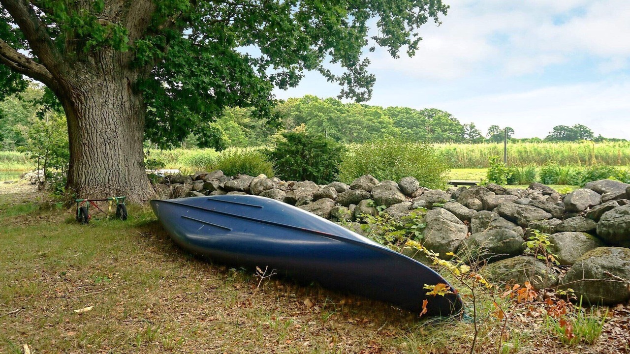 Photo of Others in Lyckeby