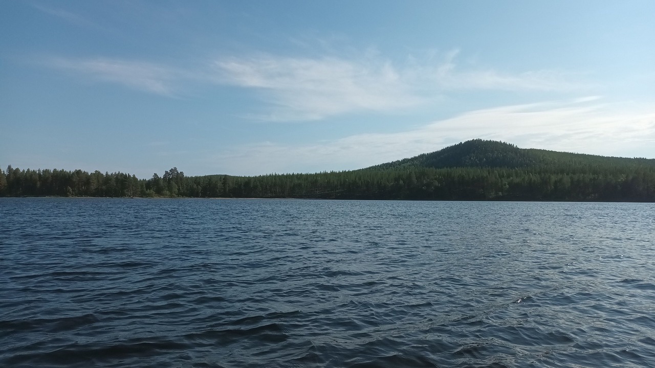 Photo of Others in Rusksele