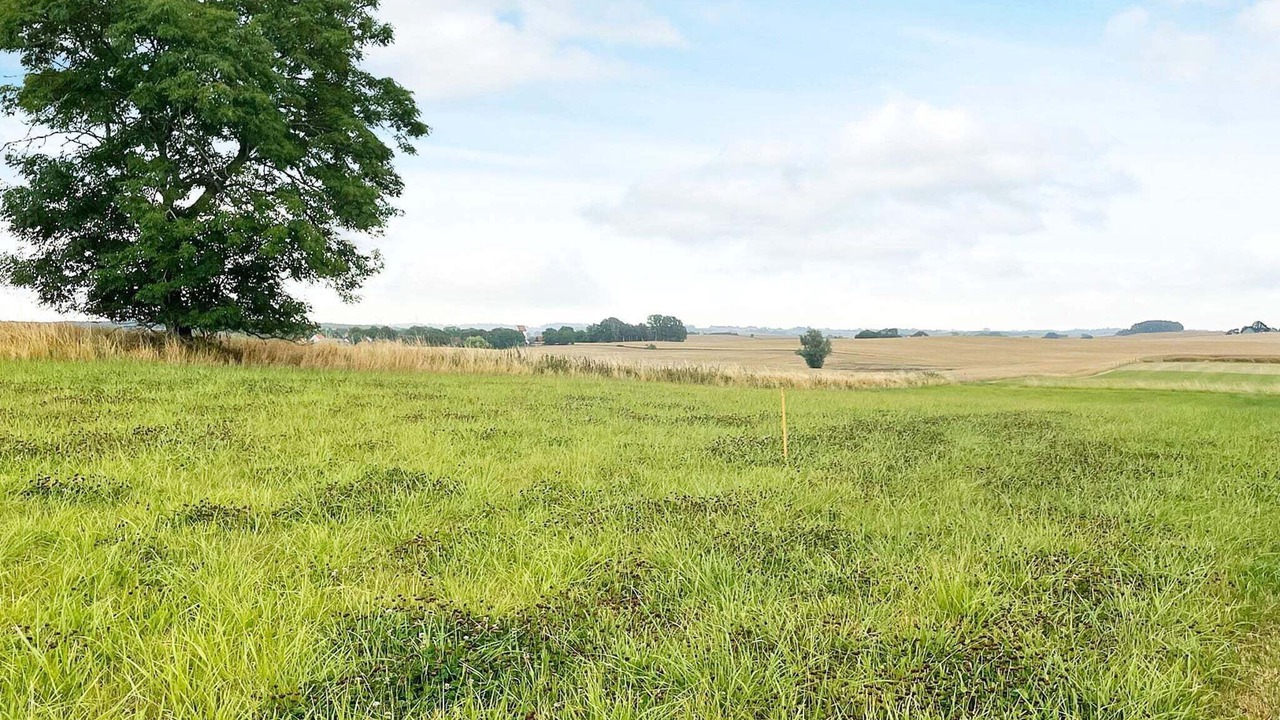 Photo of Outdoor in Skarby