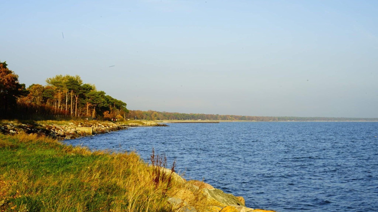 Photo of Others in Skarby