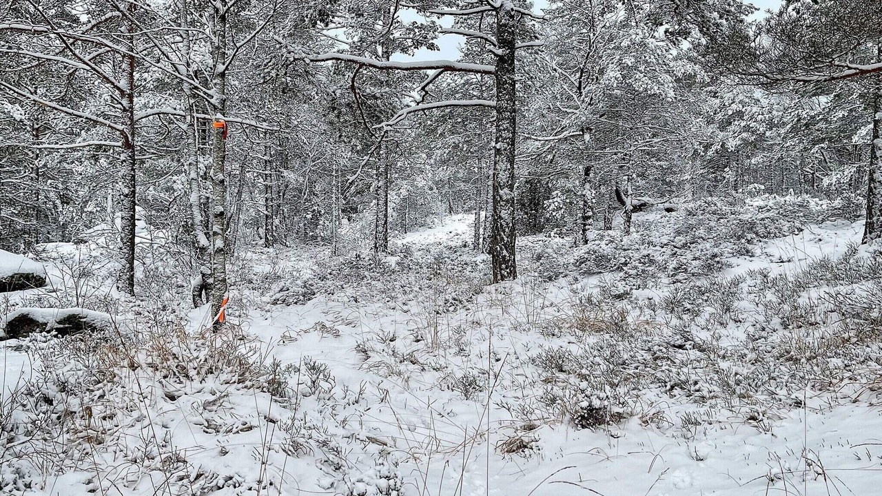 Photo of Others in Halden