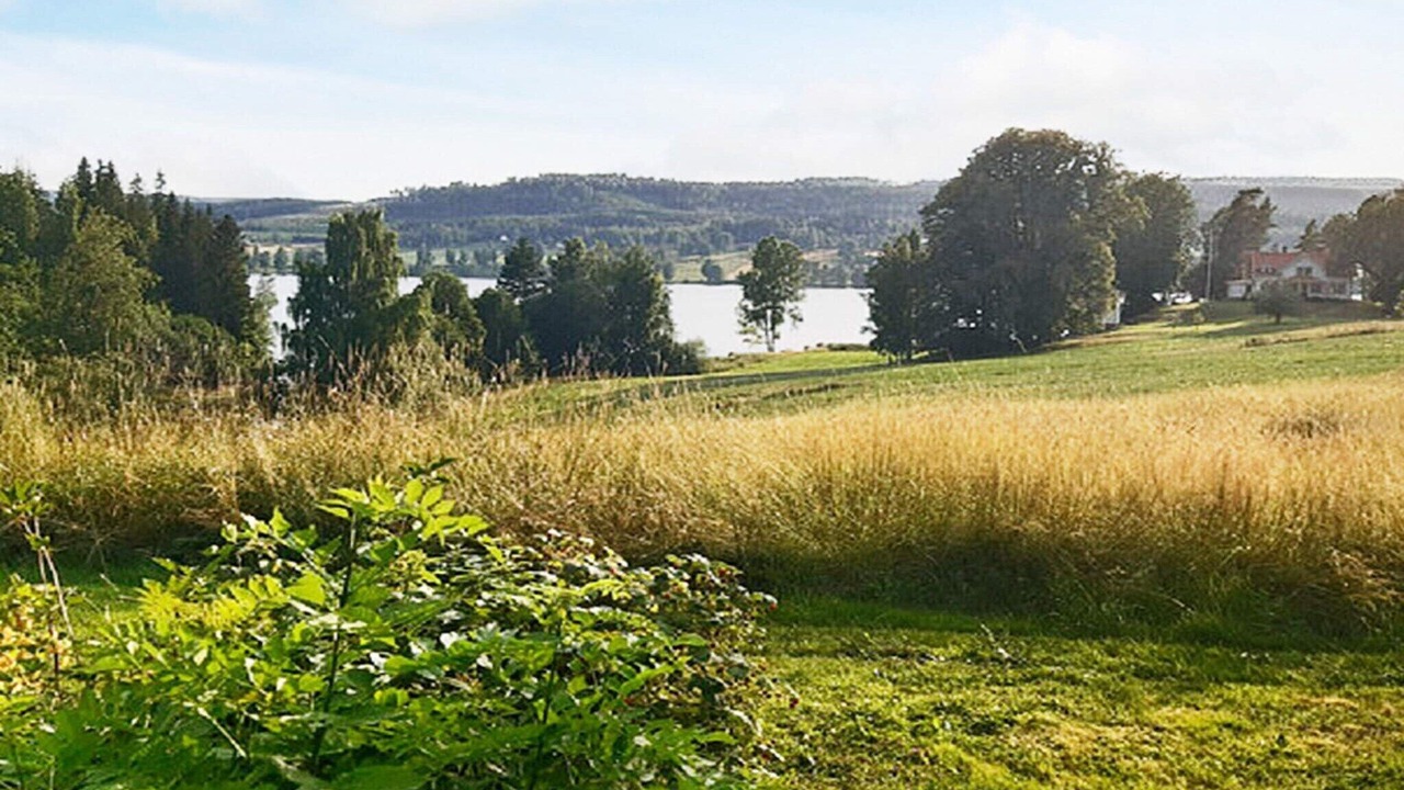 Photo of Others in Sunne Municipality