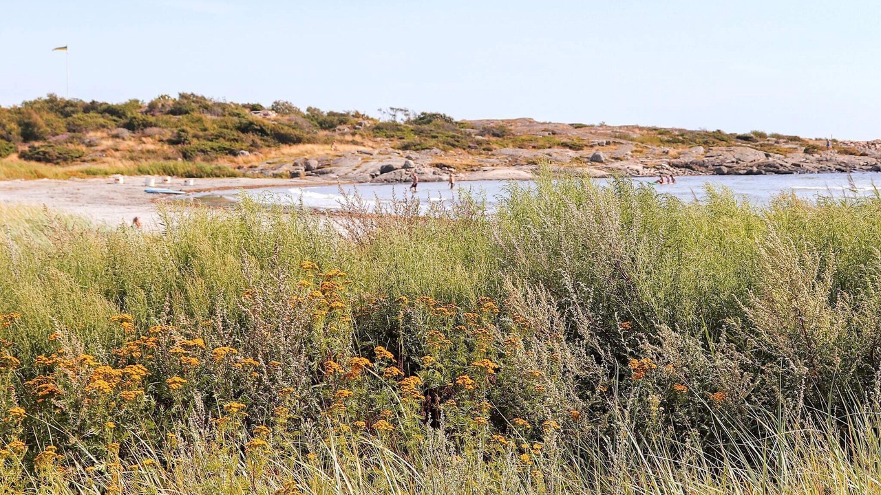 Photo of Others in Varberg Municipality