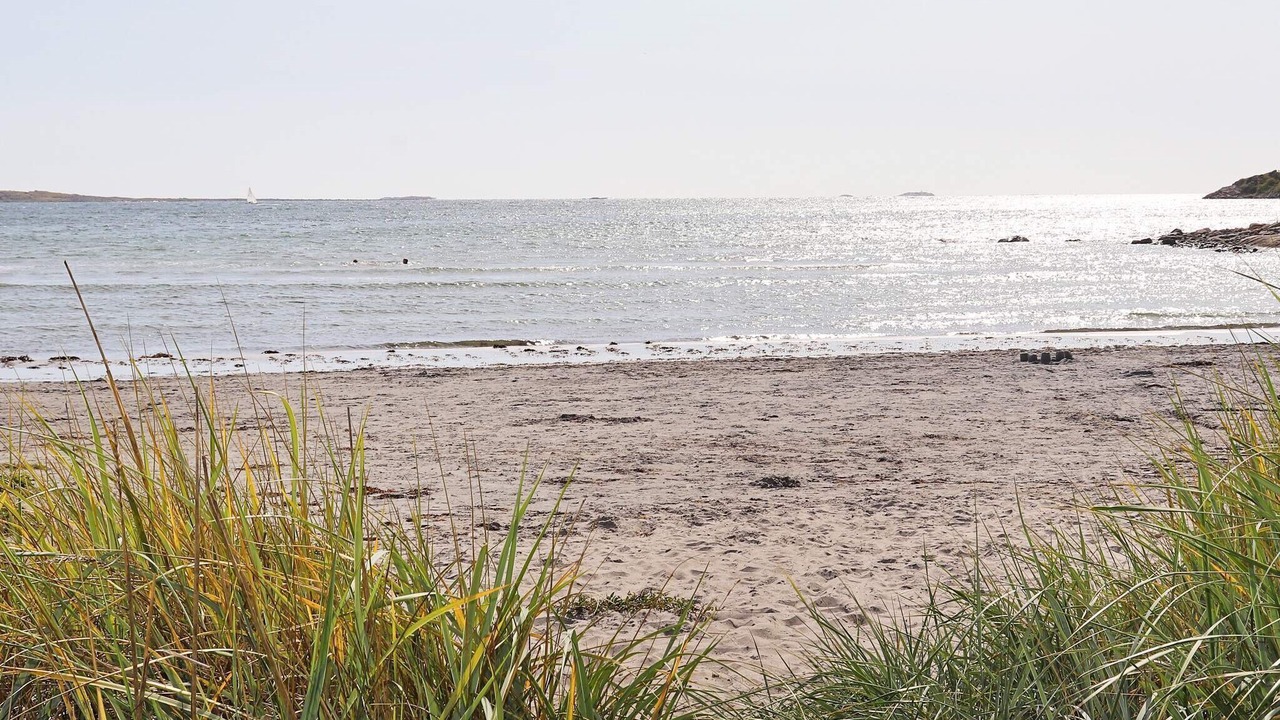 Photo of Others in Varberg Municipality