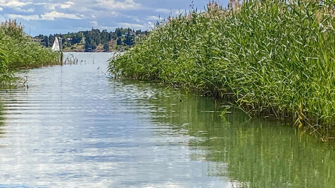 Photo of Others in Vikbolandet