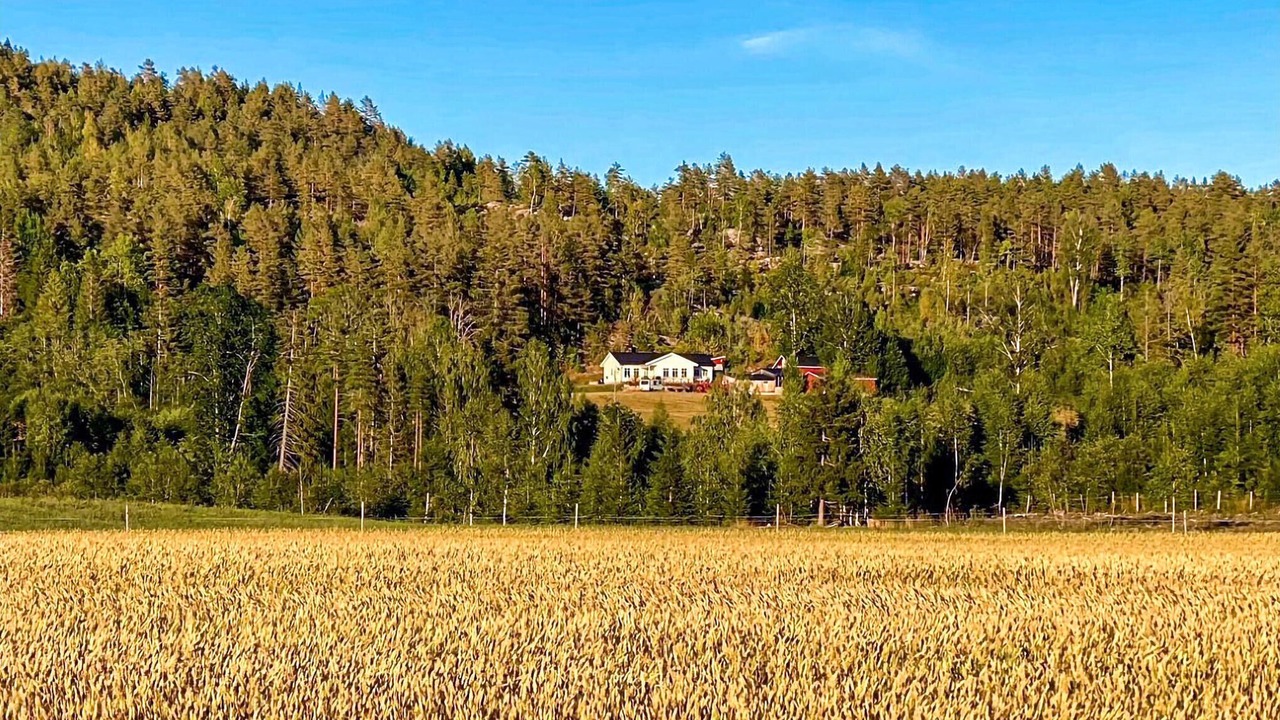 Photo of Others in Nome