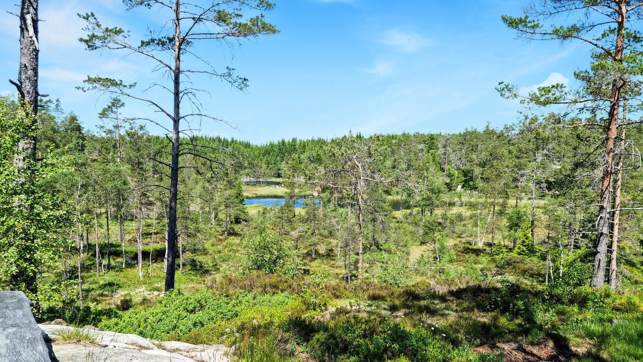 Photo of Others in Marnardal