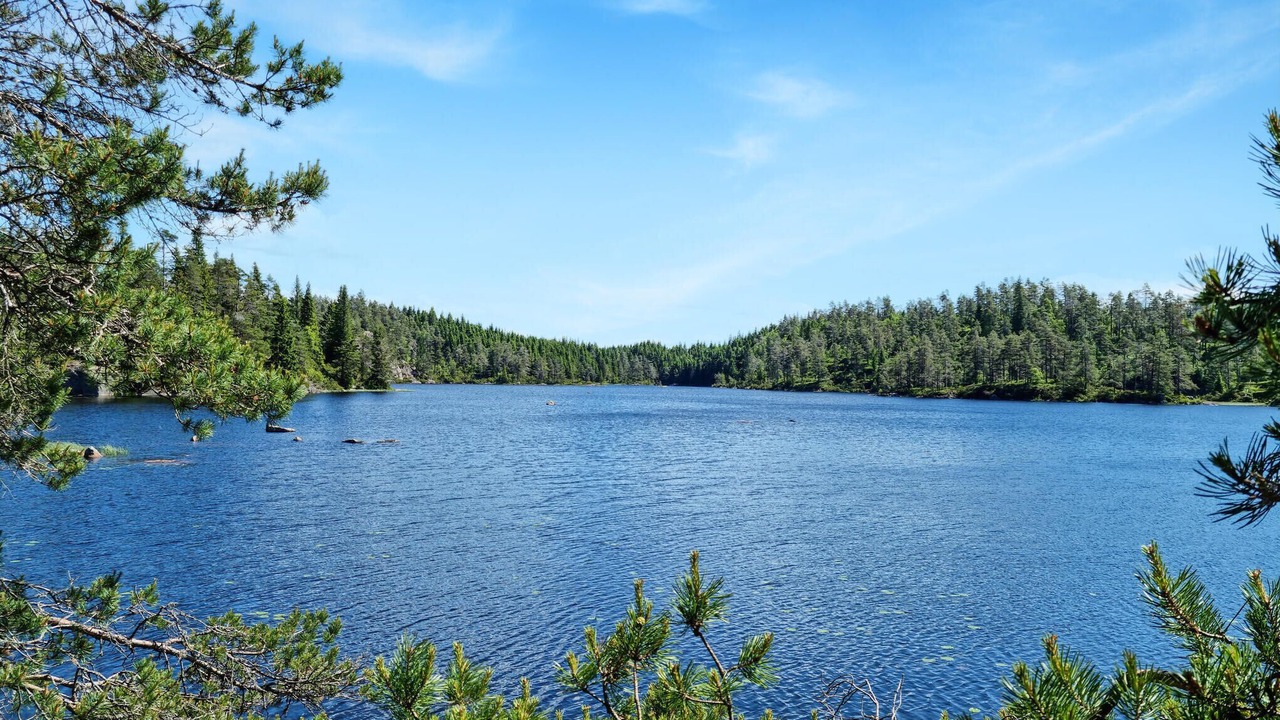 Photo of Others in Marnardal