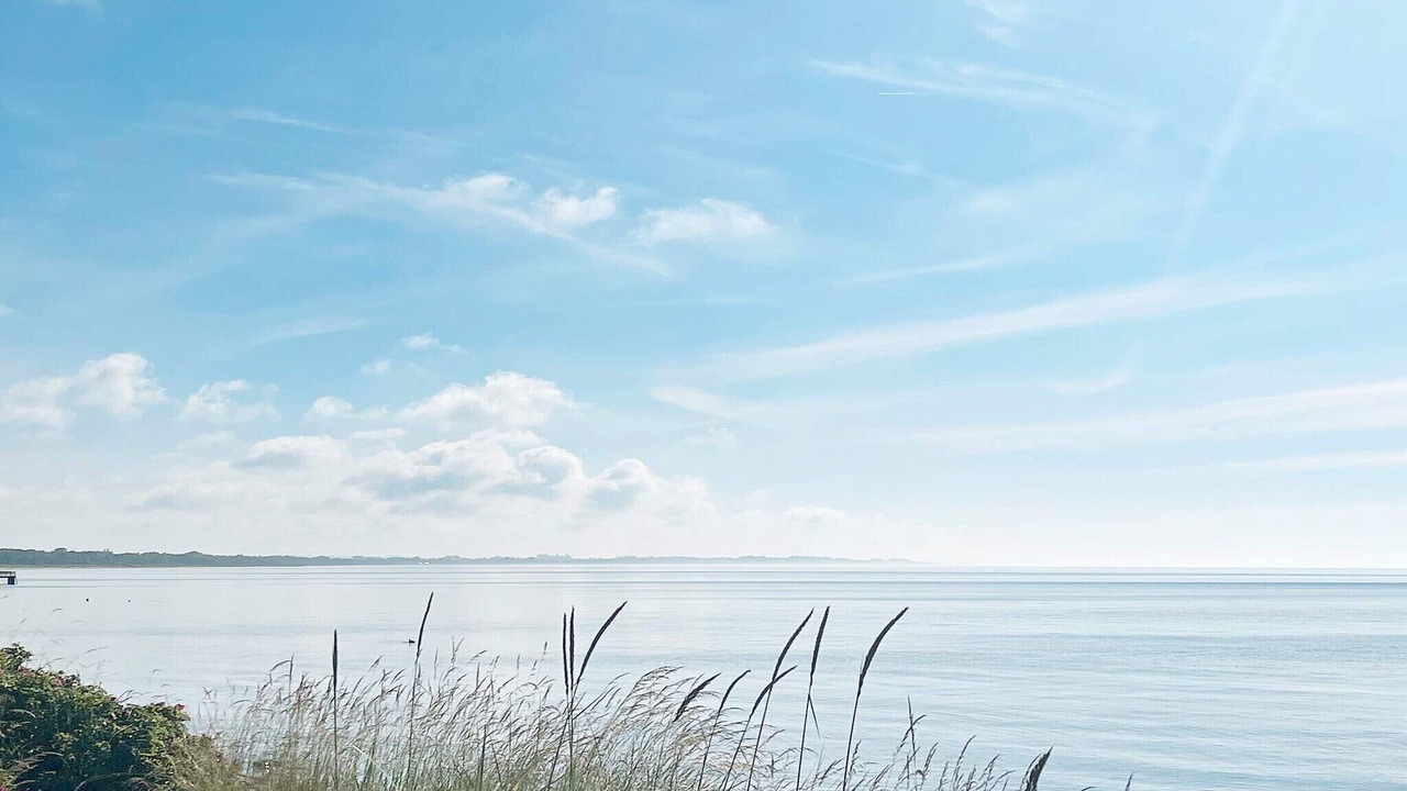 Photo of Others in Beddingestrand
