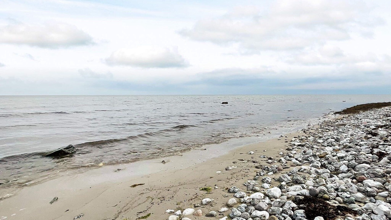 Photo of Others in Beddingestrand