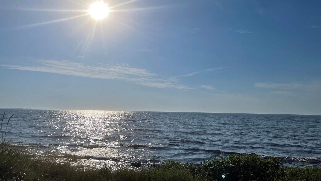 Photo of Others in Beddingestrand