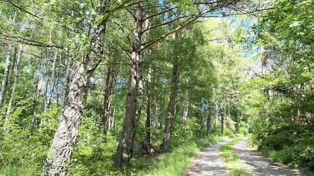 Photo of Others in Klovedal